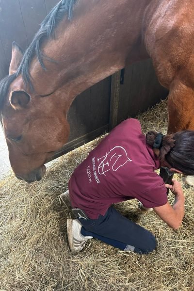 Photo de NH massage s'occupant d'un cheval
