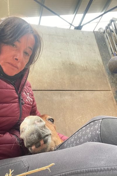 Photo de NH massage s'occupant d'un cheval