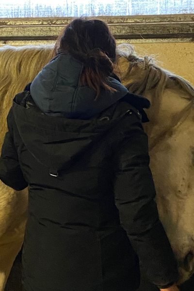 Photo de NH massage s'occupant d'un cheval