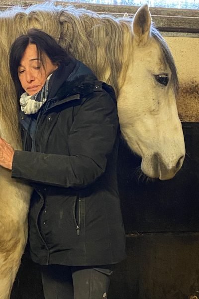 Photo de NH massage s'occupant d'un cheval