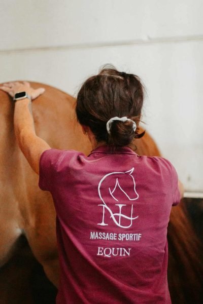Photo de NH massage s'occupant d'un cheval
