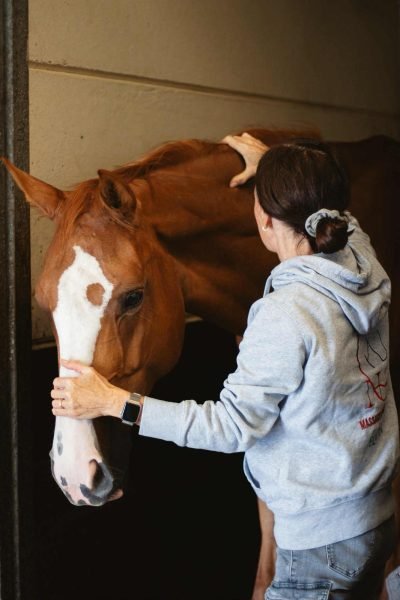Photo de NH massage s'occupant d'un cheval
